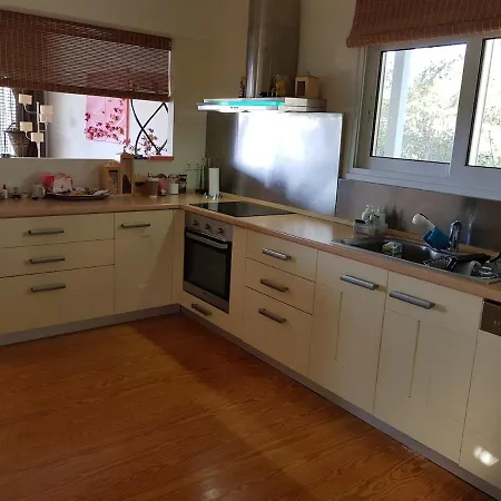 Beachfront House 35min From Athens Villa