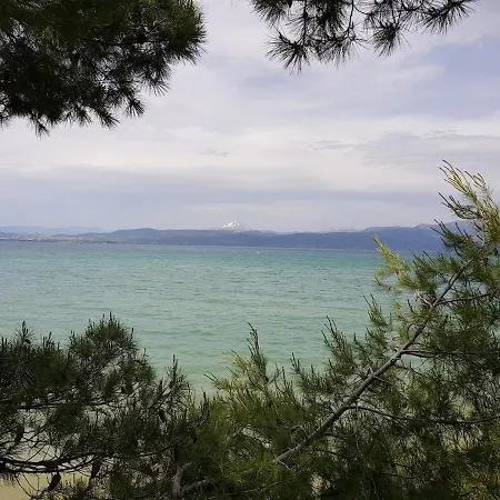 Spacious House 35min From Athens Villa