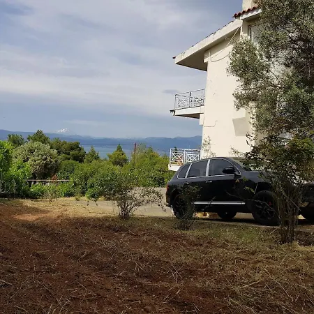 Spacious House 35min From Athens Villa