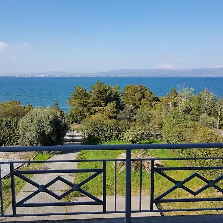 Villa Spacious House 35min From Athens *
