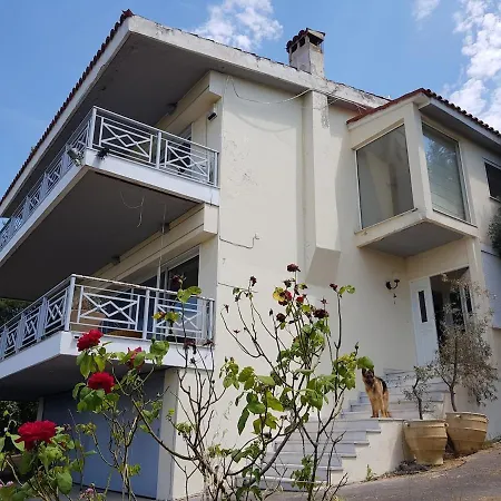 Villa Spacious House 35min From Athens